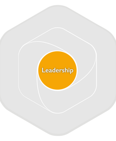 Profession-Map-Framework-components-Leadership